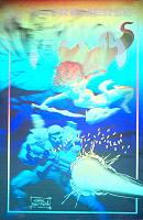 Silver holographic cover